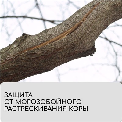 Бинт садовый, 10 × 0,08 м, плотность 60 г/м², спанбонд с УФ-стабилизатором, белый, Greengo, Эконом 20%