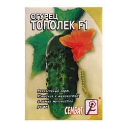 Семена Огурец "Тополек F1", 5 шт.