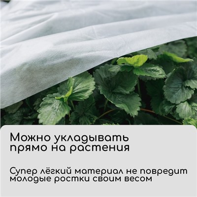 Материал укрывной, 5 × 1.6 м, плотность 20 г/м², спанбонд с УФ-стабилизатором, белый, Greengo, Эконом 30%