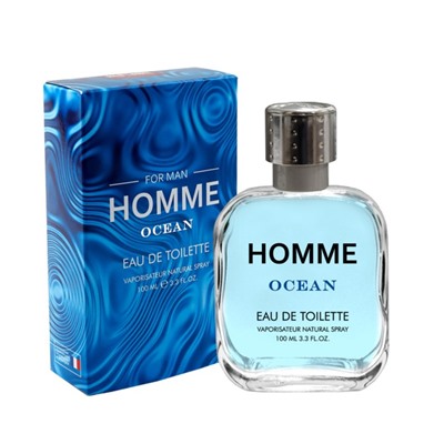 Туалетная вода мужская Homme Ocean, 100 мл (по мотивам Acqua Di Gio (G.Armani)