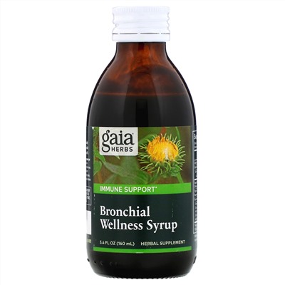 Gaia Herbs, Bronchial Wellness Syrup, 5.4 fl oz (160 ml)