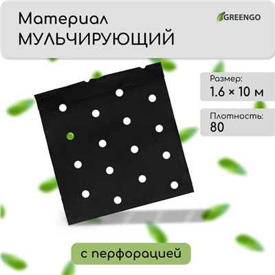 Материал мульчирующий, с перфорацией, 10 × 1,6 м, плотность 80 г/м², спанбонд с УФ-стабилизатором, чёрный, Greengo, Эконом 30%