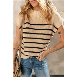 Parchment Striped Ribbed Knit High Neck Sweater