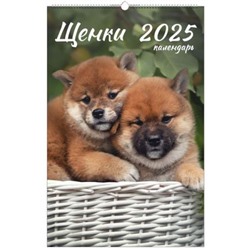 Календарь настенный перекидной на спирали 2025 г. 280х435 мм 6л "Домашние любимцы" с ригелем КПВС2510 Эксмо