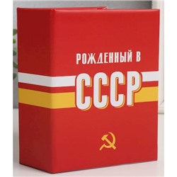 Фотоальбом 10х15 на 100 фотографий пластик. листы "USSR time" СССР FA 100.021-1