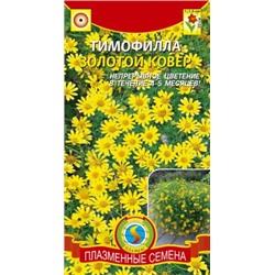 Тимофилла Золотой ковер (Код: 91581)