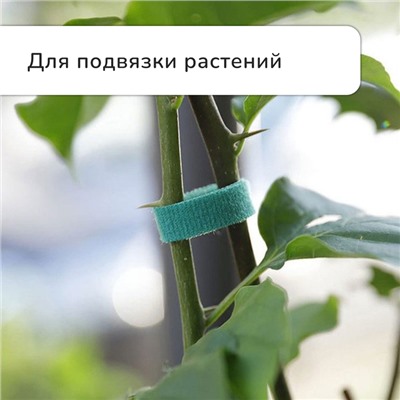 Лента-липучка для подвязки растений h=1 см, L=5 м, зеленый