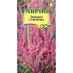 Лимониум Суворова (Код: 9553)