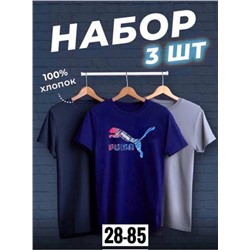 Футболка мужская 3 шт R145174