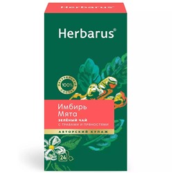 Зеленый чай с травами и пряностями "Имбирь и мята", 24 пакетика