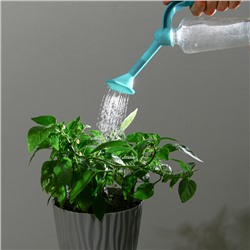 Лейка-насадка на бутылку для полива растений