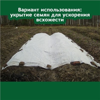 Материал укрывной, 8 × 4,2 м, плотность 25 г/м², с УФ-стабилизатором, белый, «Райфенхаузер»