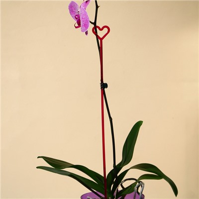 Опора для орхидей, h = 44 см, пластик, малиновая, МИКС