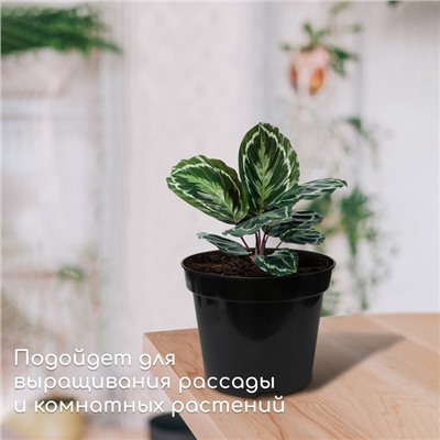 Горшок для рассады, 2 л, d = 17,5 см, h = 13 см, чёрный, Greengo