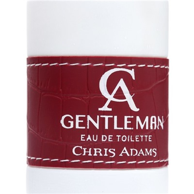 Туалетная вода мужская Chris Adams Ca Gentleman, 100 мл