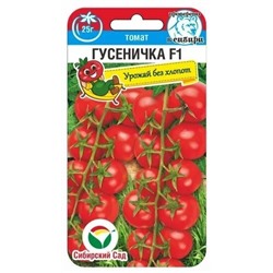 Томат Гусеничка (Код: 89877)