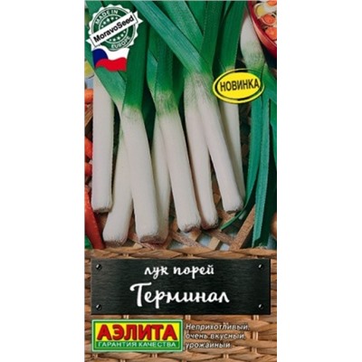 Лук порей Терминал (Код: 88075)