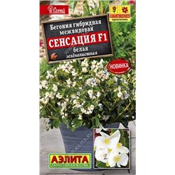 Бегония Сенсация Белая F1 (Код: 86003)