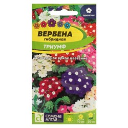 Семена цветов Вербена "Триумф", гибридная, Сем. Алт, ц/п, 0,1 г