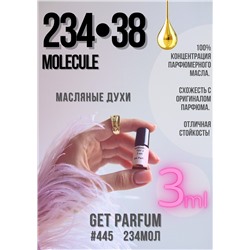 Молекула 234.38 / GET PARFUM 445