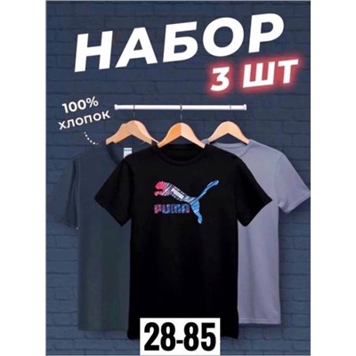 Футболка мужская 3 шт R145168