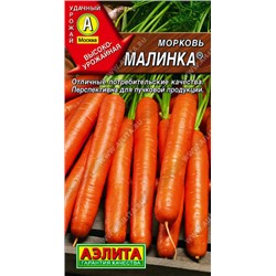 0633 Морковь Малинка 2 г