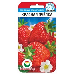 Клубника Красная пчелка (Код: 91372)