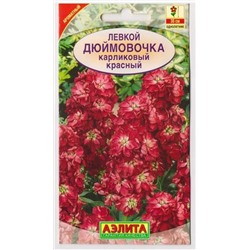 Левкой Дюймовочка красный (Код: 73349)