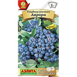 0364 Голубика высокая Аврора 0,01 г