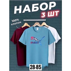 Футболка мужская 3 шт R145172