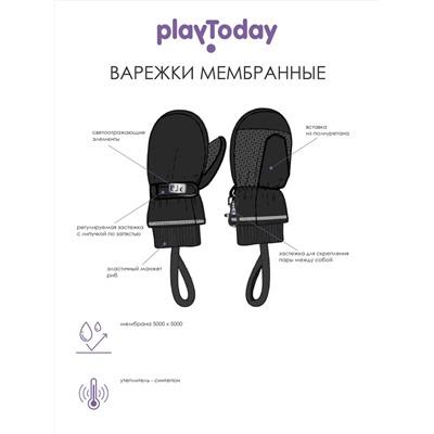 316713 PLAYTODAY Варежки