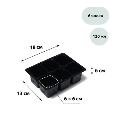 Кассета для рассады, на 6 ячеек, по 120 мл, пластиковая, чёрная, 18 × 13 × 6 см, в наборе 10 шт., Greengo