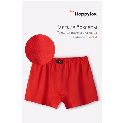 Трусы для мальчика Happy Fox