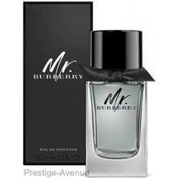 Burberry - Туалетная вода Mr. Burberry for men 100 мл