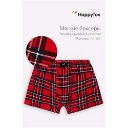 Трусы для мальчика Happy Fox