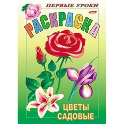 Раскраска А5 8л Посмотри и раскрась-Первые уроки "Цветы садовые" (011386) 3070 Хатбер