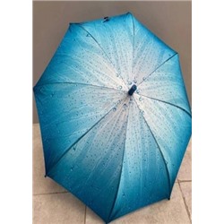 Зонт #21153510