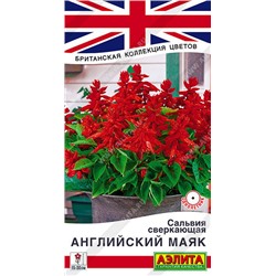 1822A Сальвия сверкающая Английский маяк 7 шт