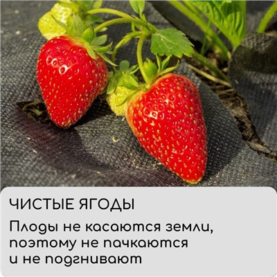 Материал мульчирующий, 5 × 1,6 м, плотность 80 г/м², спанбонд с УФ-стабилизатором, чёрный, Greengo, Эконом 30%