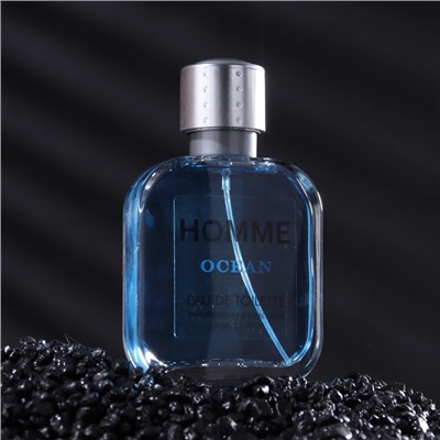 Туалетная вода мужская Homme Ocean, 100 мл (по мотивам Acqua Di Gio (G.Armani)