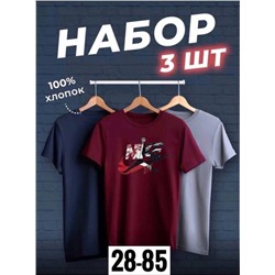 Футболка мужская 3 шт R145119