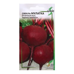 Семена Свекла "Мулатка", 120 шт