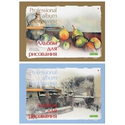 Альбом для рисования А4 40л СЕРИЯ "ПРОФЕССИОНАЛЬНАЯ" 150 г/кв.м на склейке 1-40-236 Альт