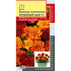 Бархатцы Огненный Шар (Код: 88474)