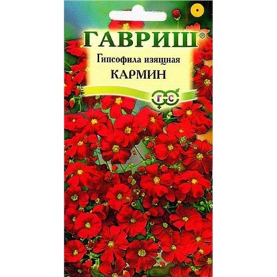 Гипсофила изящная Кармин (Код: 7881)