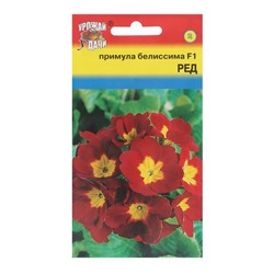 Семена цветов Примула "Белиссима Ред", F1, 3шт