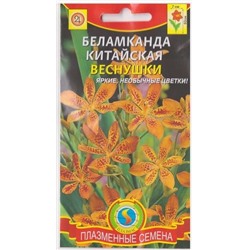 Беламканда китайская Веснушки  (Код: 75118)