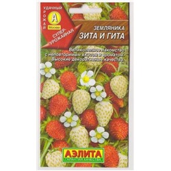 Земляника Зита и Гита  (Код: 2308)