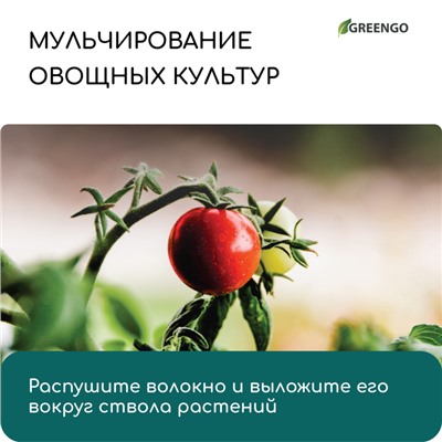 Кокосовое волокно, 4 л, 100 гр, Greengo