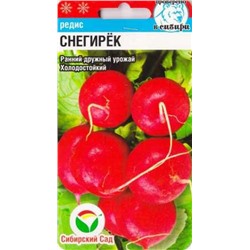 Редис Снегирек (Код: 86705)